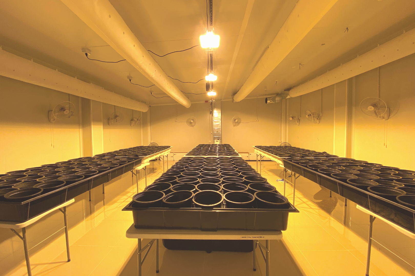 2. State-of-the-art Indoor Growing Facility_Nan.png