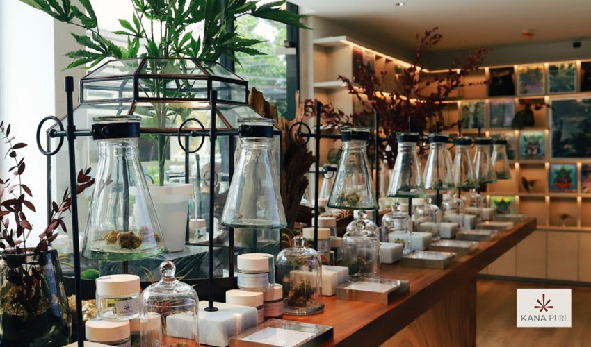 Bespoke launches Thailand’s first KANA Pure Dispensary for high-end wellness cannabis offerings