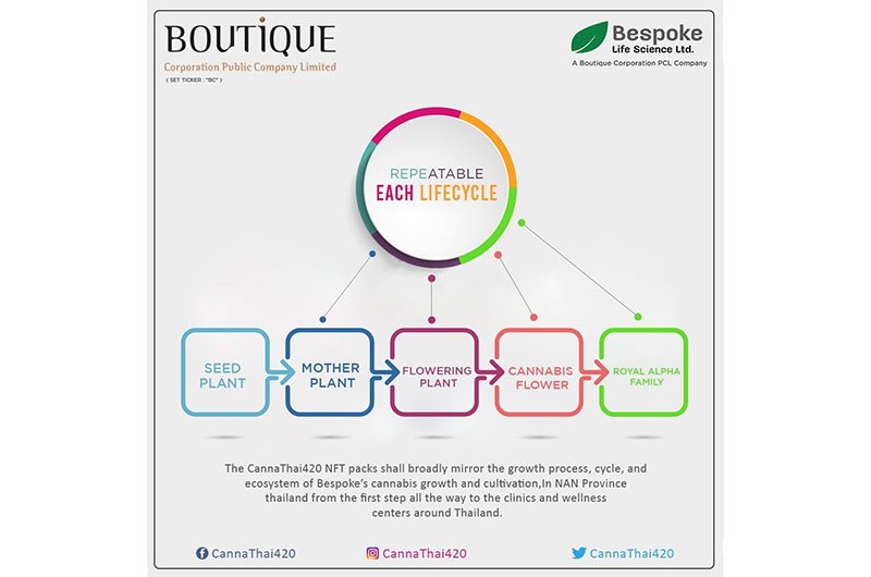 BC’s Cannabis Arm Ventures into the Blockchain Industry with CannaThai420