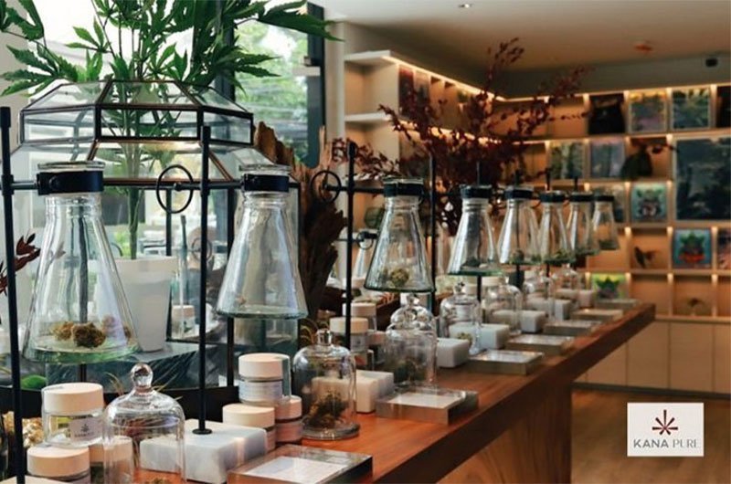 Bespoke launches Thailand’s first KANA Pure Dispensary for high-end wellness cannabis offerings