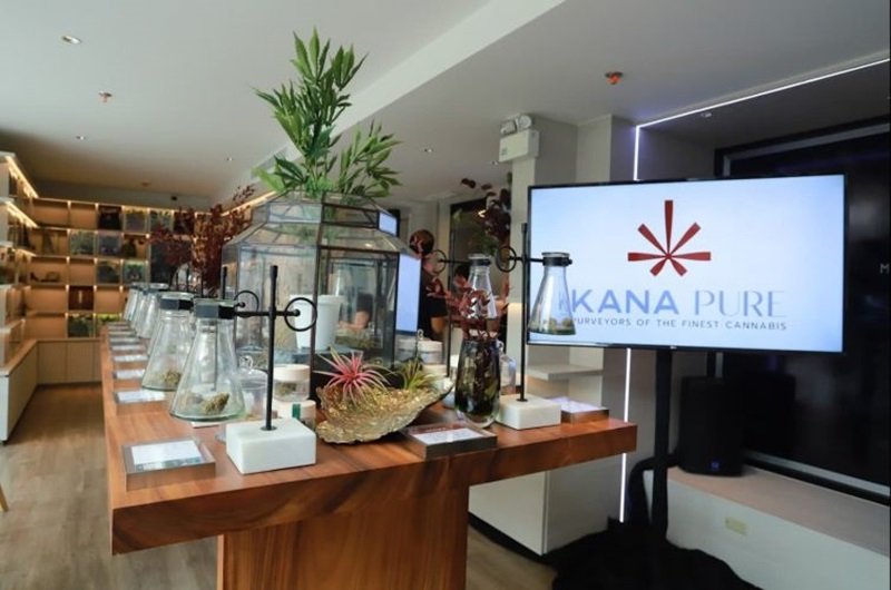 BC comfort as “Moving Forward Party” is certain on cannabis in MOU